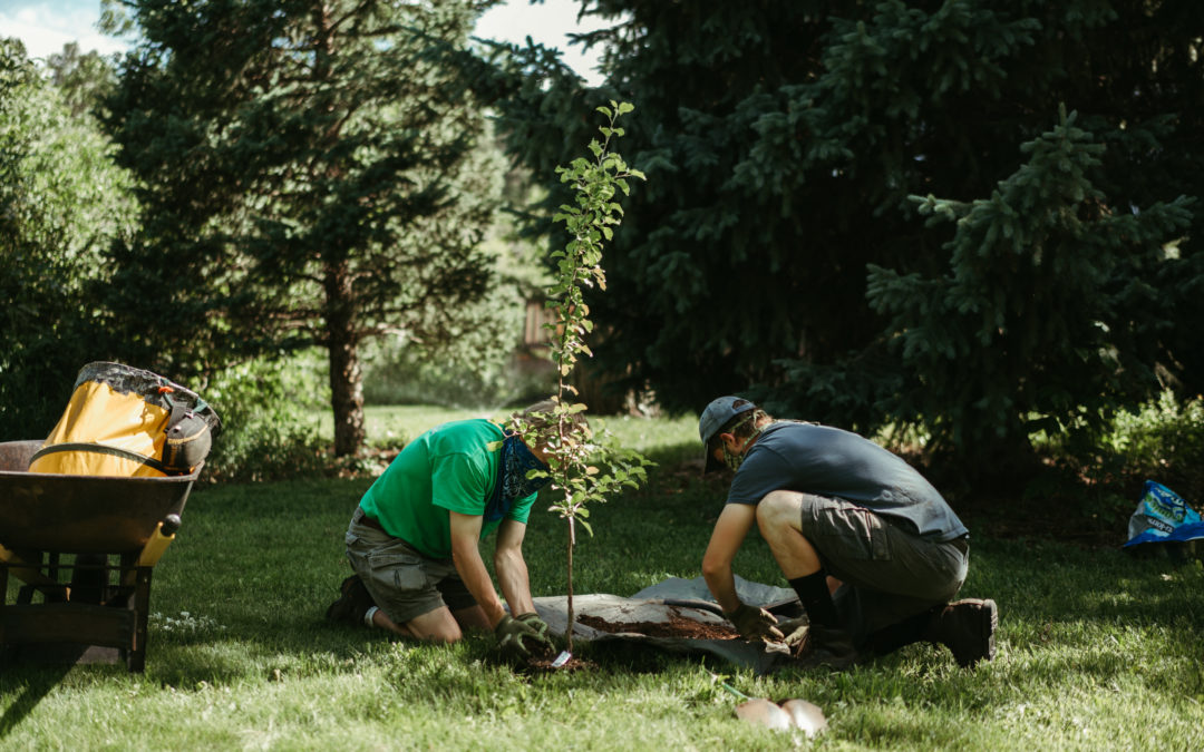 Waterwise Gardening