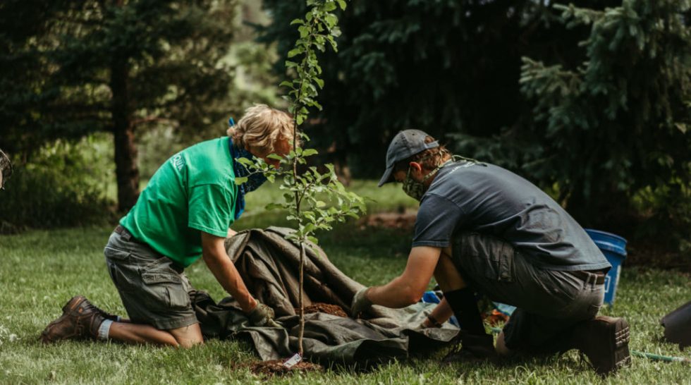 Chautauqua Fall Tree Tour - The Colorado Chautauqua